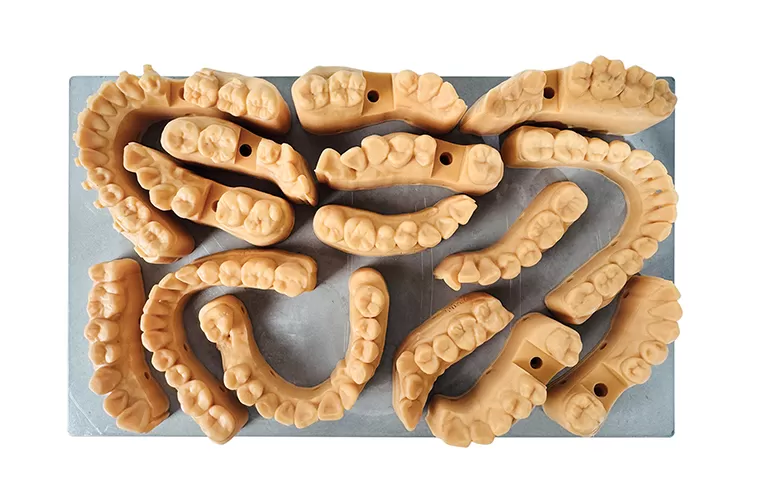 Mô hình cấy ghép