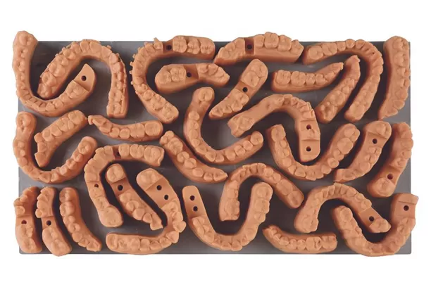 Mô hình cấy ghép