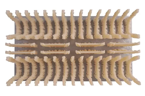 Vương Miện tạm thời