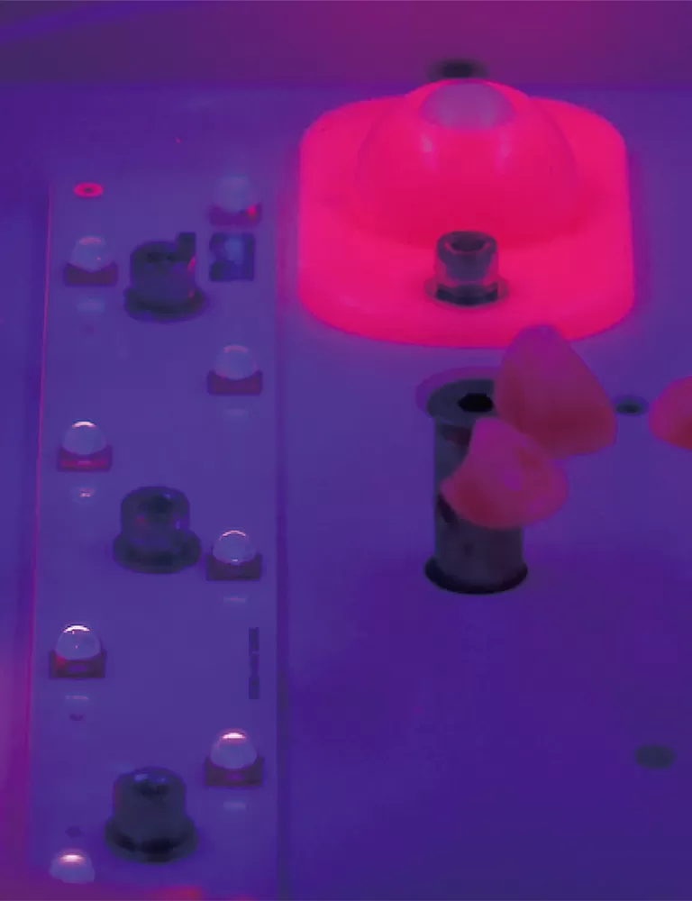 Nâng cao bản in 3D của bạn với các giải pháp xử lý hậu kỳ chuyên nghiệp rayshape