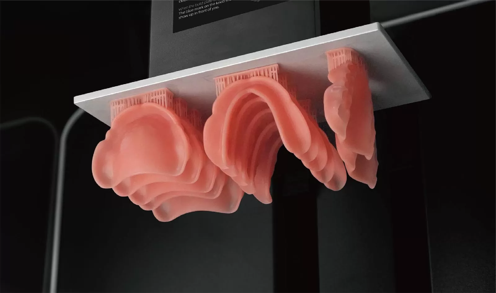 Nhựa màu hồng DT