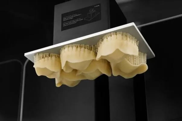 Try-In Resin: Try-In Try-In Resin: Try-In