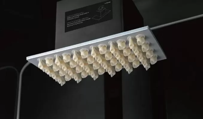 Crown & Bridge Resin: TTC&B Crown & Bridge Resin: TTC&B